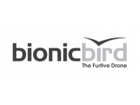 Bionic Bird