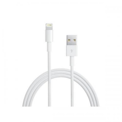 Apple Καλώδιο σύνδεσης iPhone 5,6,7,8,X Lightning Original 2.0m BLISTER - MD819ZM