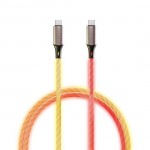 Cygnett Essentials καλώδιο USB-C σε USB-C Light Up Cable, 1.2Μ - MULTICOLOR - CY-CY5211PCTYC 