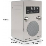  Tivoli Audio PAL+ BT Portable Bluetooth ΨΗΦΙΑΚΟ ΡΑΔΙΟΦΩΝΟ FM/DAB+ Radio - Chrome - TI-PPBTCHROME